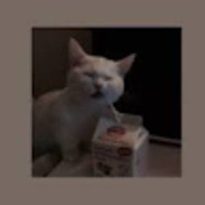 Meet your Posher, Cadence